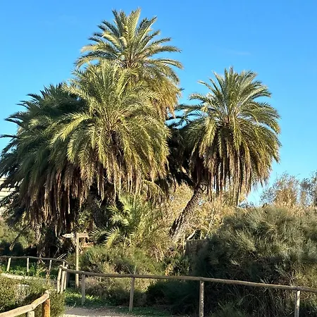 Casa Neroli Iconic